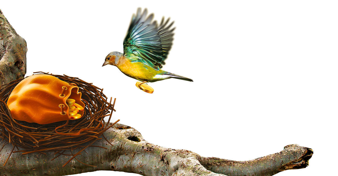 Un oiseau s'envole d'un nid contenant une bourse remplie de pièces d'or